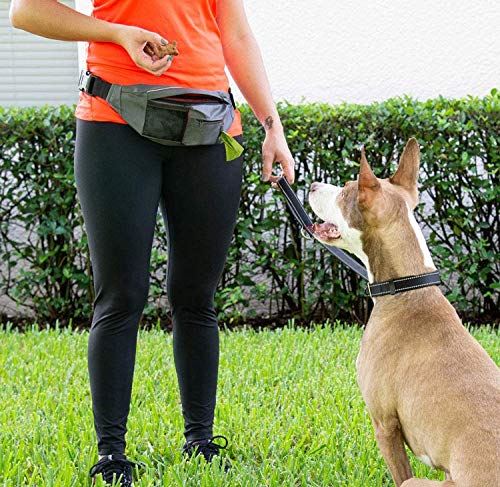 Geecol 犬 バッグ 犬用訓練バッグ ウエストポーチ 小物入れ 防水 餌 お菓子 小物入れ 犬の散歩用バッグ Lojascarrossel Com Br