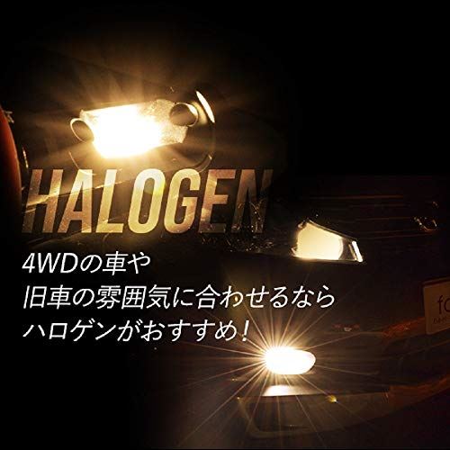 Fcl エフシーエル 単車扇クション Ledヘッドライト H7 ファン差添類い 1個 ハロゲン 4300k 自動車検合う 12v車用 ハロゲンラヴァー 19高齢ひな形 Ciptasuksesmedika Com