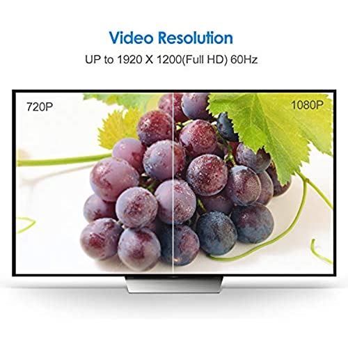 Rankie Displayport オス Dvi 牝 推移アダプタ 1080p高解像力 真っ黒 Musiciantuts Com