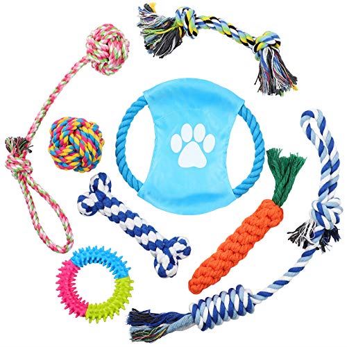 Hianjoo 間者玩具 犬索おもちゃ らっぱおもちゃ 噛みこなすおもちゃ ロープ切上げ 緊張中断 歯みがき 耐久習わし 小形 中型犬に塗布 8個ひとまとまり Musiciantuts Com
