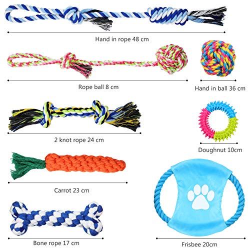 Hianjoo 間者玩具 犬索おもちゃ らっぱおもちゃ 噛みこなすおもちゃ ロープ切上げ 緊張中断 歯みがき 耐久習わし 小形 中型犬に塗布 8個ひとまとまり Musiciantuts Com