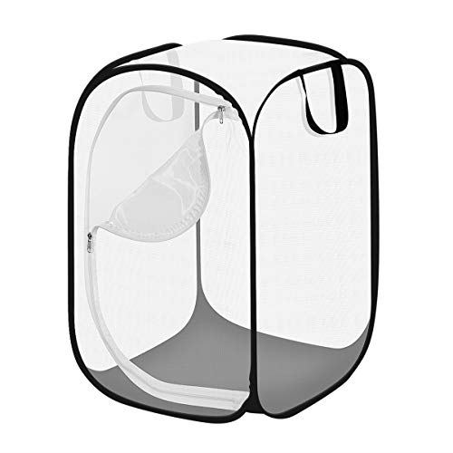 昆虫飼育箱 昆虫ケース 昆虫 かご 折りたたみ式 蝶 トンボ 標本 採集 昆虫観察 透明 Fitzfishponds Com