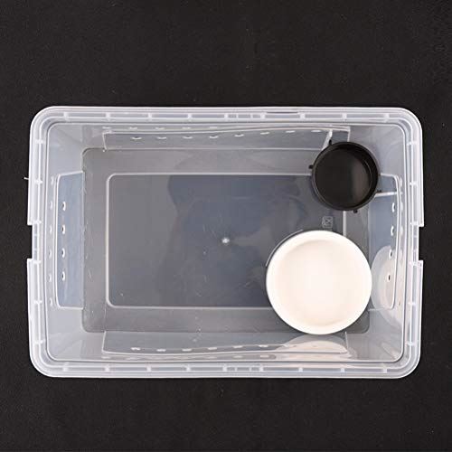 Ueetek 爬虫類 飼育ケース 昆虫飼育ケース プラスチック クモ サソリ ヤモリ ヘビ カメ クワガタ 飼育ケージ Mydrap Com