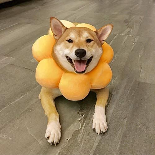 Alien Pet 傷舐め防止 猫用 去勢手術 ペット用品 ひまわり型 犬用 エリザベスカラー