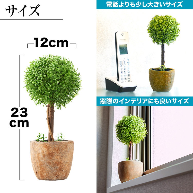 楽天市場 光触媒植物 フェイクグリーン 光触媒 トピアリー ボール お世話のいらない 癒しの グリーン 観葉植物 インテリア 人工観葉植物 トピアリーボール Tm H 010b 郵便ポストのカバポスト