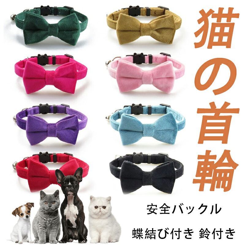 wlp-pet101-1.jpg