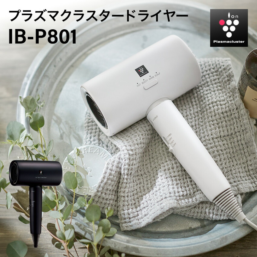 楽天市場】シャープ プラズマクラスタードライヤー IB-P601 ホワイト 