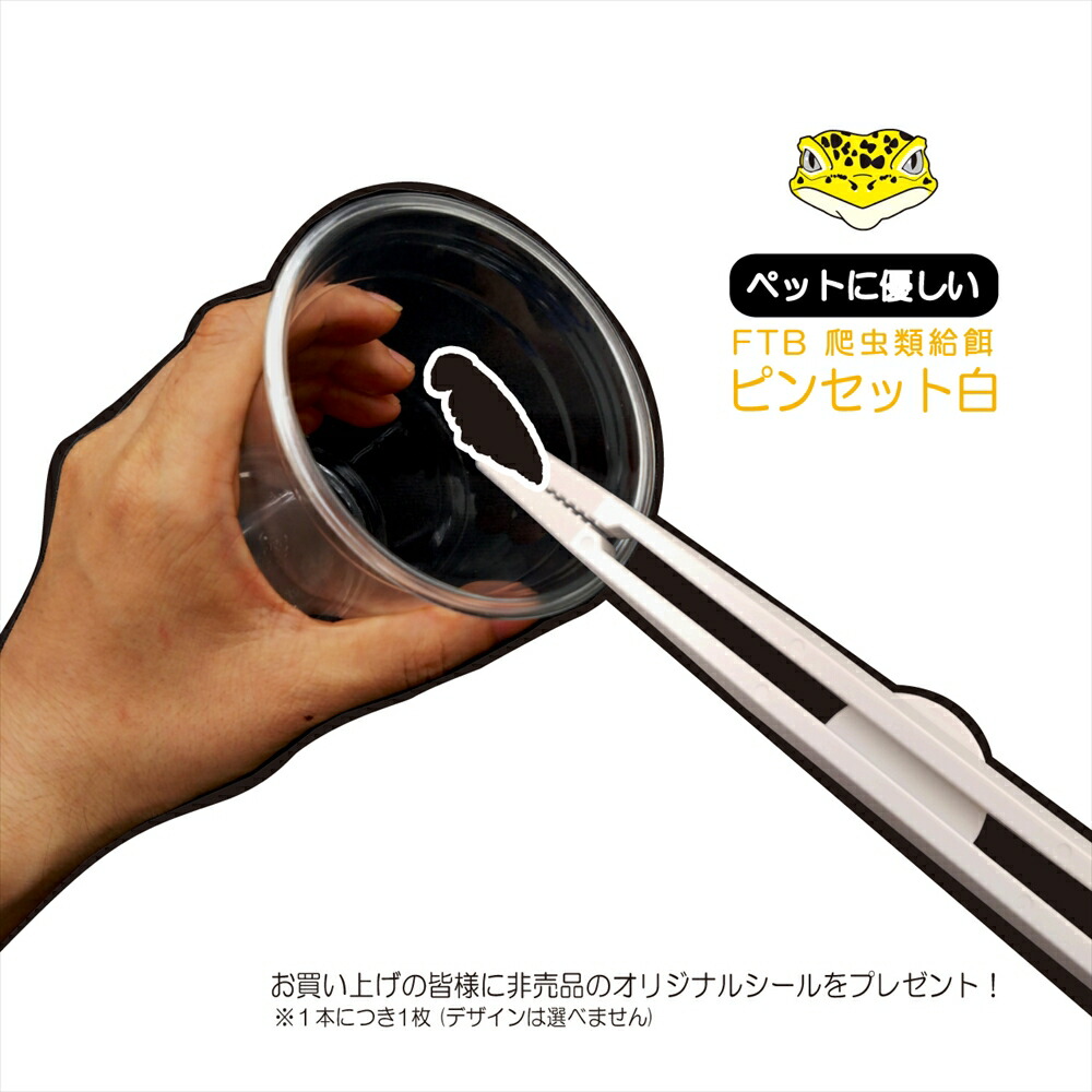 楽天市場】爬虫類給餌ピンセット 爬虫類樹脂ピンセット レオパ用