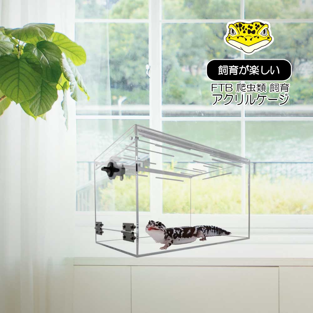 楽天市場】日本製 爬虫類アクリルケージ 3個セット！ ヒョウモン