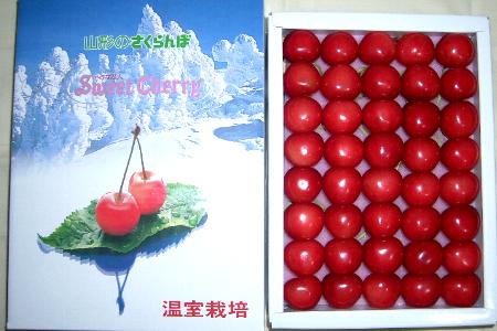 山形産 さくらんぼ 紅秀峰 べにしゅうほう L・2Lサイズ 約300g化粧箱 ※希少品のためこの商品は出来るだけ配送日のご指定はご容赦ください|サクランボ　チェリー　さくらん坊