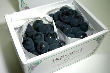 岡山県産加納岩白桃13個入り 11015 1箱（約1．8kg）糖度15度以上 山梨県産・加納