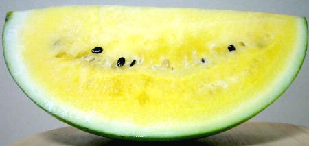 楽天市場 長野産 信州 松本ハイランド 大玉すいか 黄色い果肉 Lサイズ 2個入りクリーム西瓜 黄色西瓜 京の老舗の果物屋 鳥羽伊三