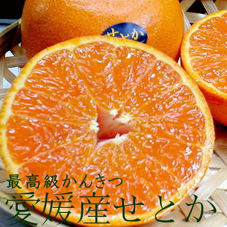 楽天市場】愛媛産 せとか 3Lサイズ 約5ｋｇ（17個前後入り）産地箱