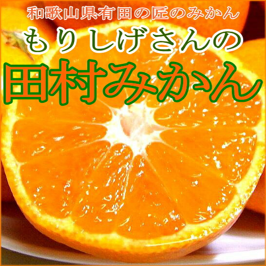 【楽天市場】和歌山産 「有田」 ”もりしげ”さんの田村みかんSサイズ 5kg (58個前後入り) 店長おすすめ果物ですワンランク上のみかん ...