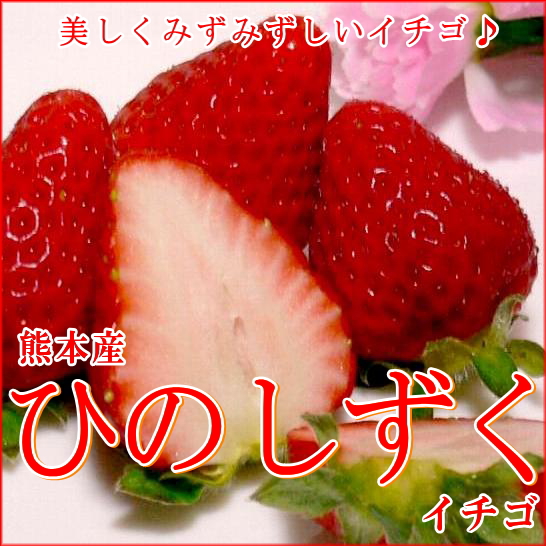 楽天市場 熊本産 ひのしずくイチゴ大玉 3lサイズ 2パック入り箱 燃えるような赤い苺 ストロベリー Pfeb16 京の老舗の果物屋 鳥羽伊三