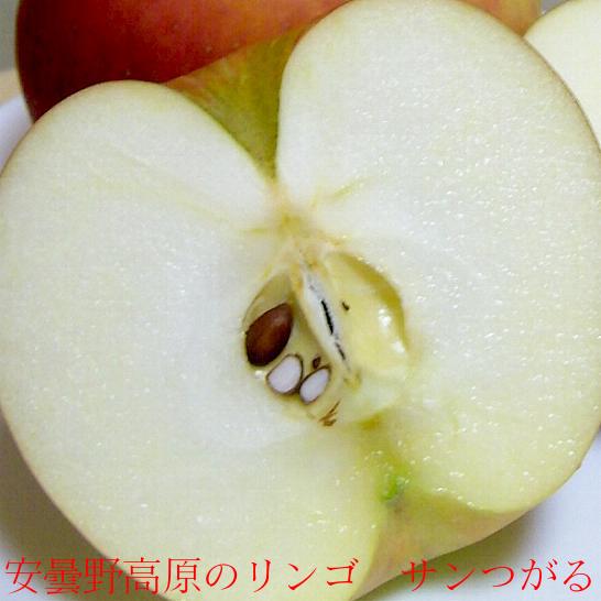 楽天市場】長野産 あづみの高原のサンつがる リンゴ 約10kg 中玉