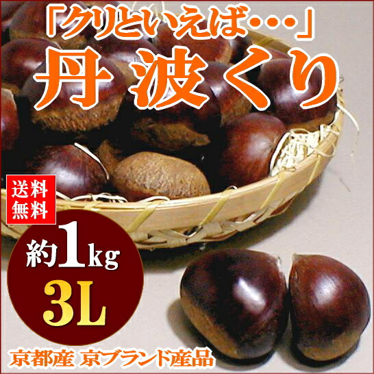 楽天市場 送料無料 京都産 丹波栗 たんばくり 約500g 大玉 3lサイズ以上 大きさにばらつきがあります 丹沢 筑波 銀寄 石鎚 希少品のためお届け日はご指定いただけません 和栗 たんば栗 丹波栗 丹波クリ 京の老舗の果物屋 鳥羽伊三