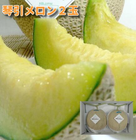 メロンさま専用 楽天市場】茨城県産 JA茨城旭村 オトメメロン A品 4Lから3L