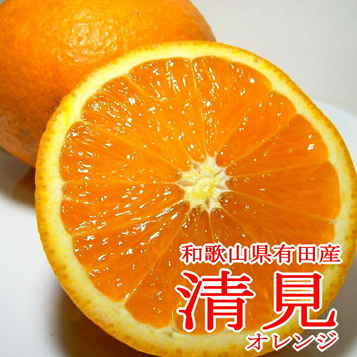 清見オレンジ 8kg（箱込約8kg）和歌山県産 訳あり・ご家庭用