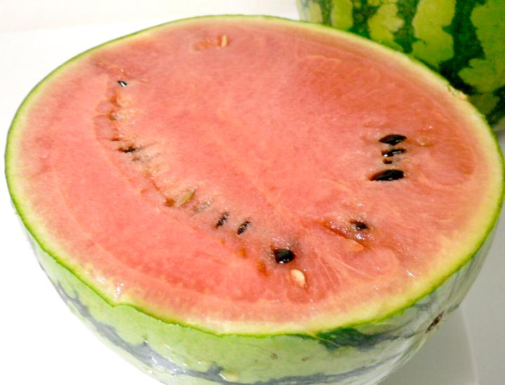 楽天市場 たんご 砂丘西瓜 大玉すいか 特大 5lサイズ 約10キロ 京都産 10kg お中元 夏ギフト プレゼント スイカ スイカ割 京の老舗の果物屋 鳥羽伊三