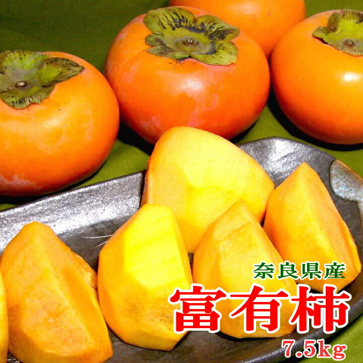 中型の柿の木（実付き） imgrc0104057043.jpg