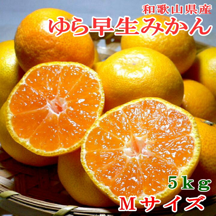 楽天市場】和歌山産 温州みかん ゆら早生 小玉 2Sサイズ 71個