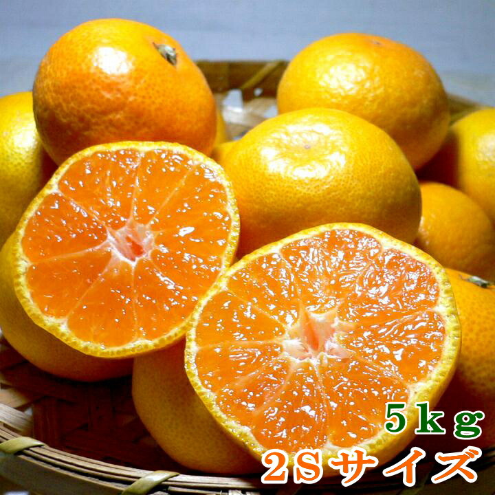 楽天市場】レモン 中玉 約1kg 中玉 8個入り 外国産 アメリカ