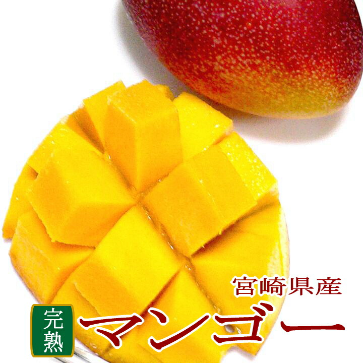 楽天市場 宮崎産 完熟マンゴー 特大 4lサイズ 2玉 簡易箱 高級マンゴー 大玉 アップルマンゴー 母の日 父の日 ギフト プレゼント 京の老舗の果物屋 鳥羽伊三 楽天市場 宮崎産 完熟マンゴー 特大 4lサイズ 2玉 簡易箱 高級マンゴー 大玉 アップルマンゴー 母の日 父の日 ギフト プレゼント 京の老舗の果物屋 鳥羽伊三