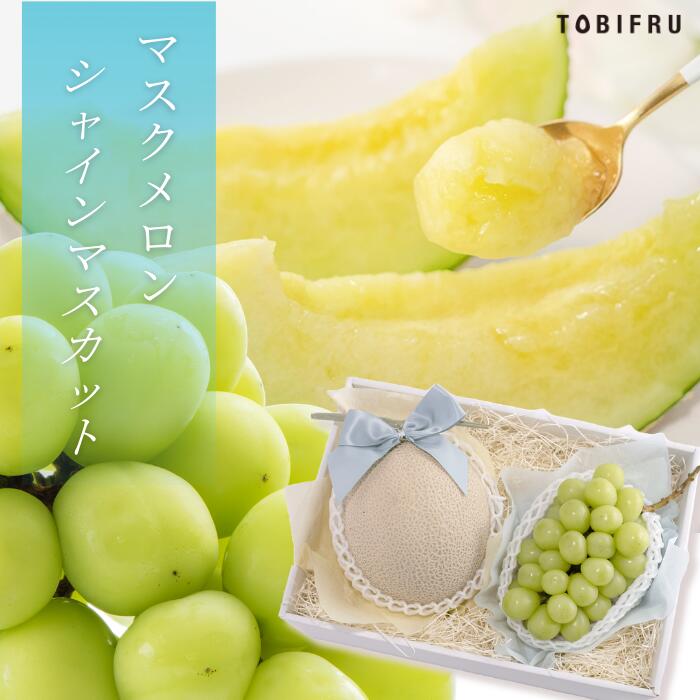 シャインマスカット ＆ マスクメロン 【シャインマスカット マスクメロン ぶどう メロン】 フルーツ ギフト 結婚 出産 内祝 結婚内祝 出産内祝 法事 法要 お供え 快気祝 贈り物 送料無料 プレゼント 手土産 贈答品 贈答用 父の日 夏ギフト お中元 暑中御見舞 誕生日 送料無料