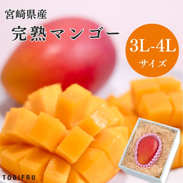 【大玉】宮崎県産 完熟マンゴー 1玉入り 【マンゴー】 父の日 手土産 果物 フルーツギフト 夏ギフト 暑中見舞い 残暑見舞い お盆休み お中元 ギフト 結婚 出産 お祝い 内祝い 贈り物 送料無料 果物 プレゼント