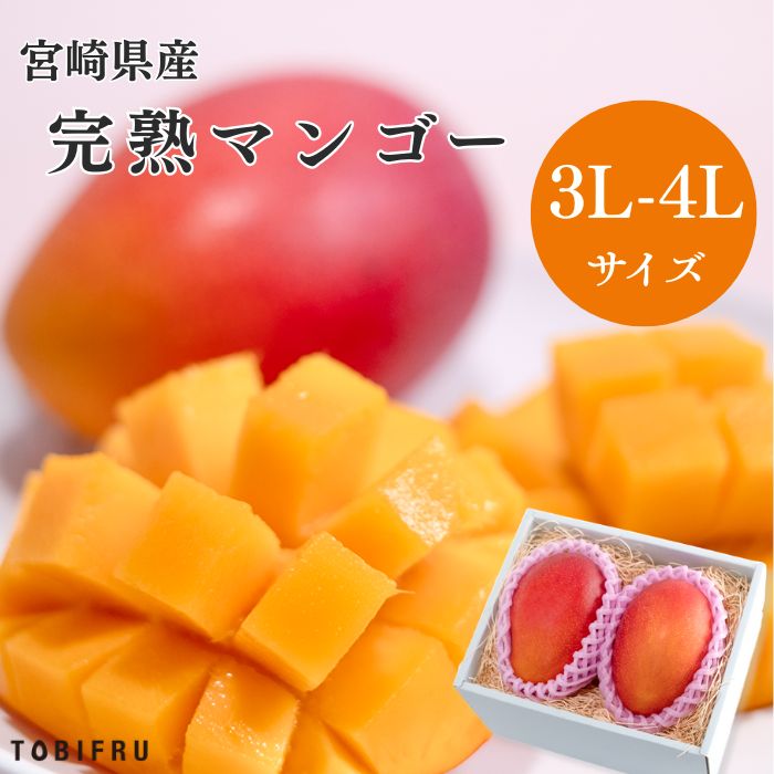 【大玉】宮崎県産 完熟マンゴー 2玉入り  【マンゴー 3L-4Lサイズ 】母の日 父の日 手土産 果物 フルーツギフト 夏ギフト 暑中見舞い 残暑見舞い お盆休み お中元 ギフト 結婚 出産 お祝い 内祝い 贈り物 送料無料 果物 プレゼント
