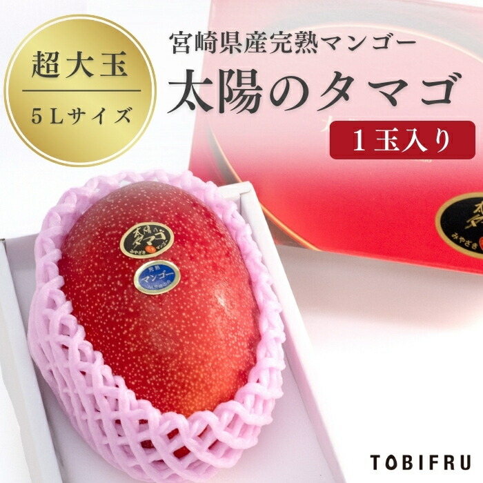 【超大玉】宮崎県産 太陽のタマゴ 1玉入り 【マンゴー 5Lサイズ】 フルーツ 果物 くだもの フルーツギフト 贈り物 プレゼント 結婚 出産 お祝い お見舞い お供え 内祝 誕生日 父の日