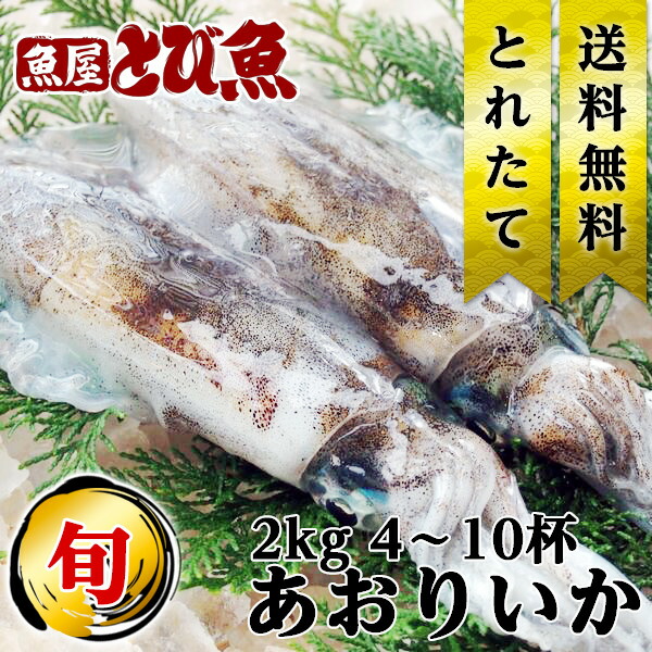 アオリイカ 2kg 4 10杯 イカ グルメ 漁師 焼きイカ 水揚げ 産地直送 刺身用 鮮度抜群 送料無料 記念日 Aoriika2kg あおりいか 国産 贈答 福井県産 プレゼント 内祝い お歳暮 イカソーメン 厳選素材 業務用 誕生日 ギフト 新鮮 お徳用 朝どれ