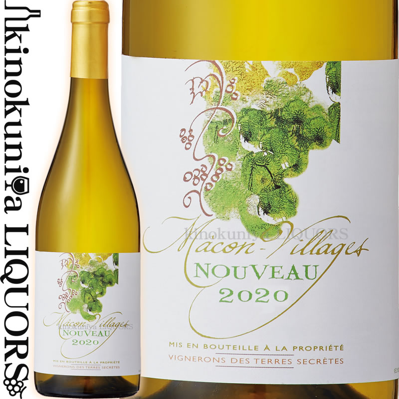 楽天市場 ヴィニュロン デ テール セクレット マコン ヴィラージュ ヌーヴォー 白ワイン 辛口 750ml フランス ブルゴーニュ Aopマコン ヴィラージュ ボージョレー ボジョレー ヌーボー 新酒 年11月19日解禁 Macon Villages Nouveau ワインの専門店