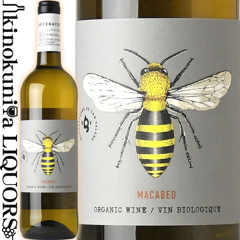 ボデガヴェルデ マカベオ 2020 白ワイン 辛口 750ml スペイン アラゴン州 DOカリニェナ Bodegaverde Macabeo  Organicオーガニックワイン 認証 ユーロリーフ CAAE 【楽天カード分割】