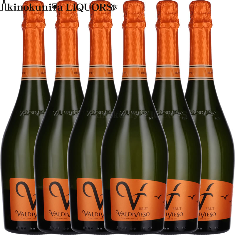 【6本まとめ買い】送料無料 バルディビエソ ブリュット [NV] 白 スパークリングワイン 辛口 750ml / チリ セントラル ヴァレー Valdivieso Brut / スパークリング 泡 発泡