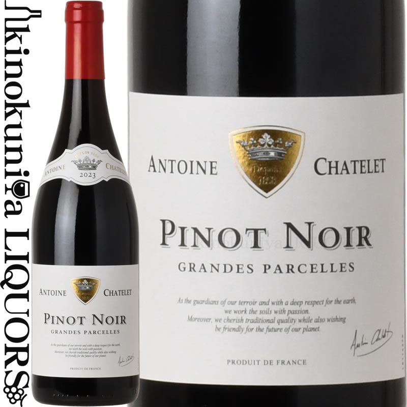 Marcel Gromaire、VOYAGEUR、海外版超希少レゾネ、新品額付 楽天市場】ドメーヌ グロ フレール エ スール / ヴォーヌ ロマネ