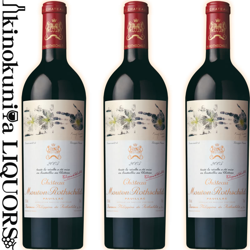 お見舞い 赤ワイン ボルドー シャトー ムートン ロートシルト 2009 ポイヤック 750ml