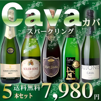 カバスパークリングワイン5本セット【送料無料S】スペインカヴァ辛口各750ml【送料無料送料込み】【セットS】【スパークリングS】【ワインセットS】【飲み比べS】【スパークリング泡発泡】【ミックスS】【福箱福袋】【楽ギフ_のし宛書】【RCP】【あす楽】