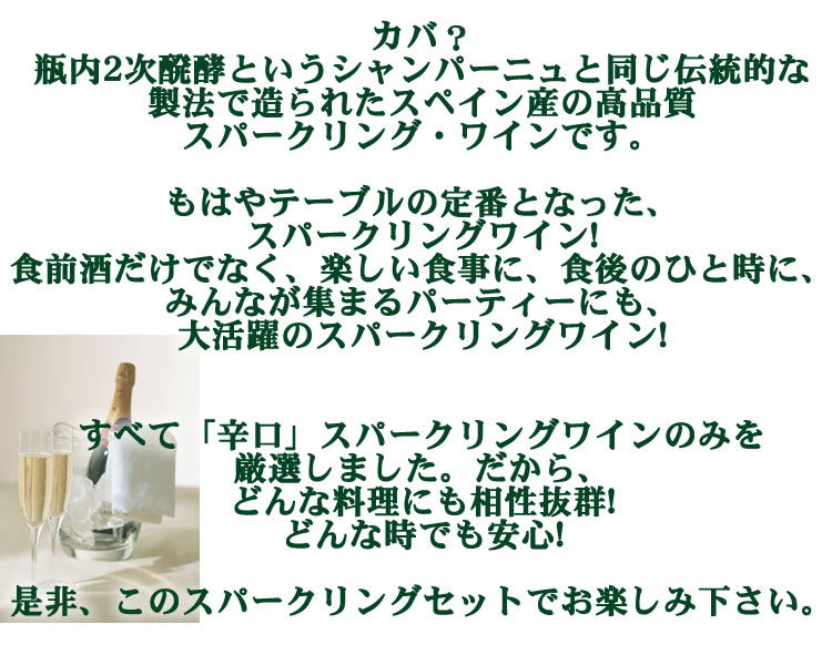 カバスパークリングワイン5本セット【送料無料S】スペインカヴァ辛口各750ml【送料無料送料込み】【ワインセットS】【飲み比べS】【スパークリング泡発泡】【福箱福袋】【楽ギフ_のし宛書】【あす楽】