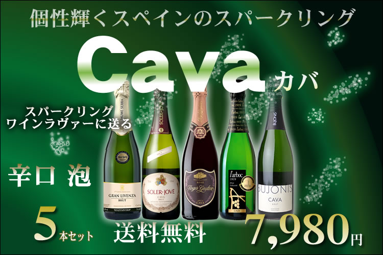 カバスパークリングワイン5本セット【送料無料S】スペインカヴァ辛口各750ml【送料無料送料込み】【ワインセットS】【飲み比べS】【スパークリング泡発泡】【福箱福袋】【楽ギフ_のし宛書】【あす楽】