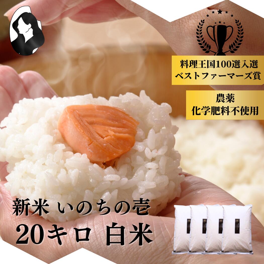 ＼ シェフ・バイヤーに選ばれるお米 ／ いのちの壱 20kg ( 5キロ × 4袋 ) 新米 令和7年産 無農薬 自然栽培 特別栽培 農家直送 長野県 信州 小諸 ギフト 御祝 内祝い 引越し 出産 結婚 誕生日 新築 法事 熨斗 送料無料