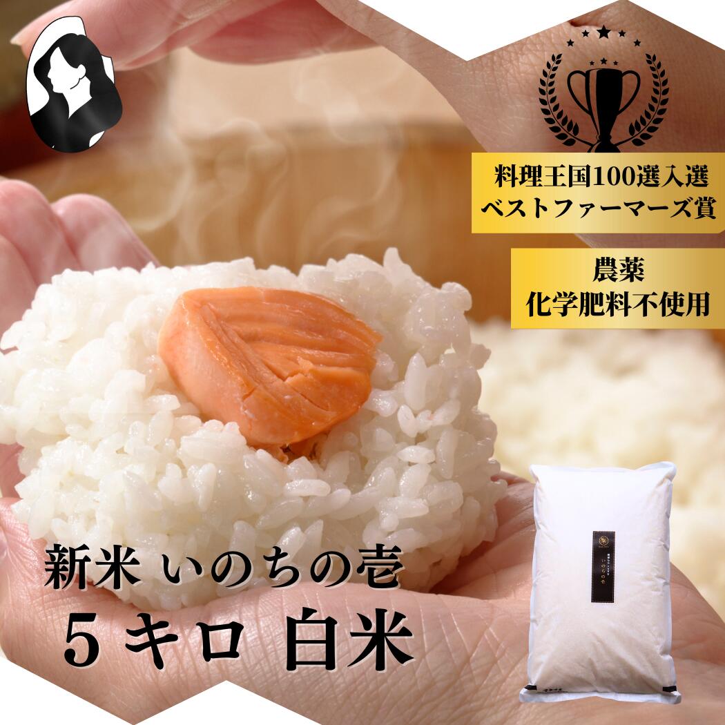【 先行予約 】【 料理王国100選、ベストファーマーズ賞 】 いのちの壱 5kg 白米 新米予約 令和7年産 無農薬 自然栽培 特別栽培 農家直送 長野県 ギフト 御祝 内祝い 引越し 出産 結婚 誕生日 新築 法事 熨斗 送料無料