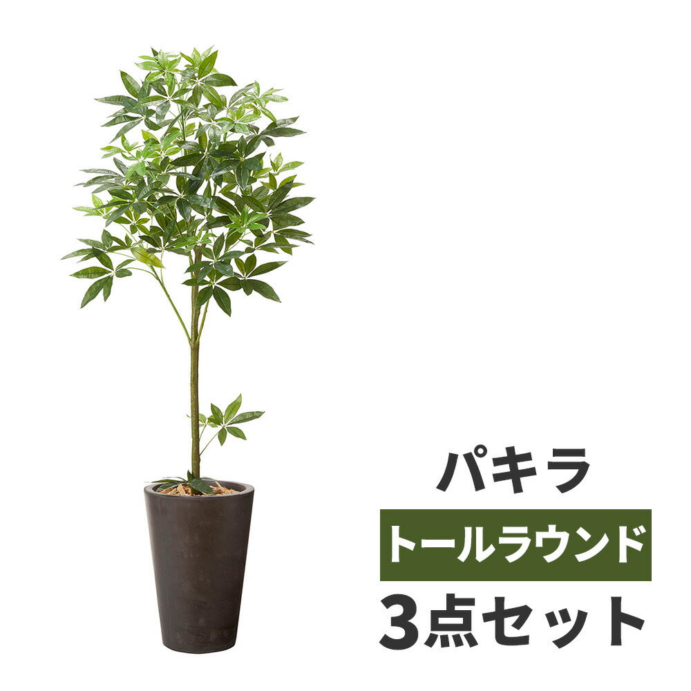 観葉植物 大型 パキラ 鉢カバー セット 高品質 アーティフィッシャルフラワー 造花 人工観葉植物 フェイクグリーン インテリア オフィス ホテル サロン 医院 飲食店 ショップ 自宅 リビング 寝室 枯れない 臭わない 水不要 衛生的 おしゃれ テレワーク 癒し 送料無料 観葉