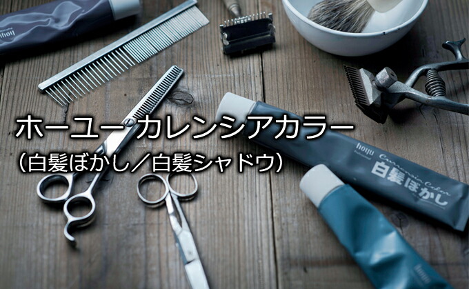 楽天市場 送料無料 ホーユー カレンシアカラー 80g 白髪ぼかし 1剤 白髪ぼかし 白髪シャドウ ナチュラルグレー ブルーグレー ソフトグレー プロ用 サロン専売品 ヘアサロン 床屋 Cl とぎ職人の部屋