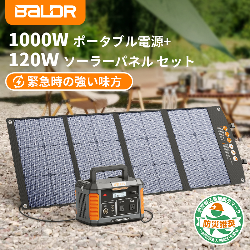 お年玉セール特価】 BALDR ポータブル電源 収納バッグ