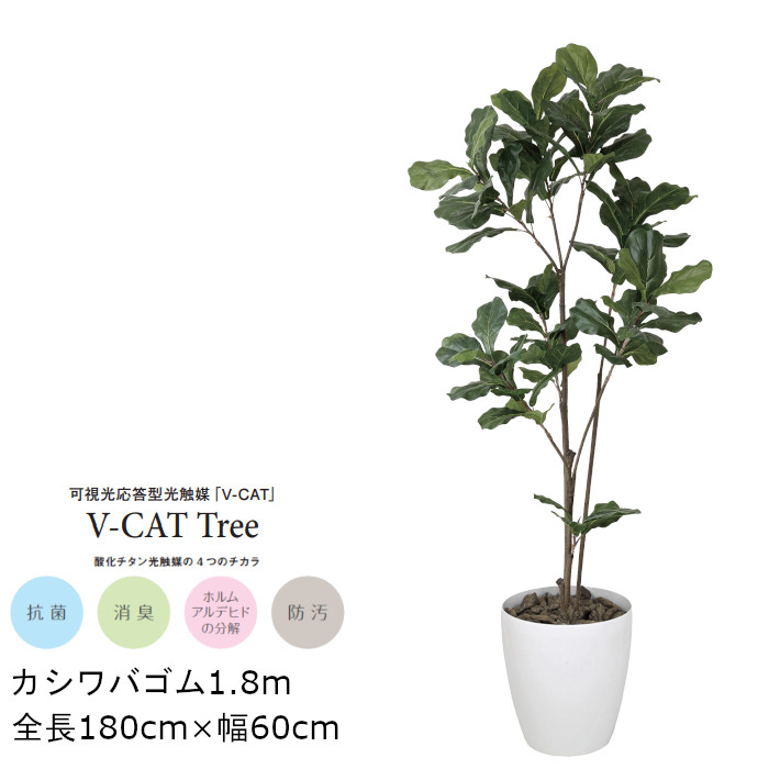 光触媒 人工観葉植物 ウォールグリーン フェイクグリーン カシワバゴム180-