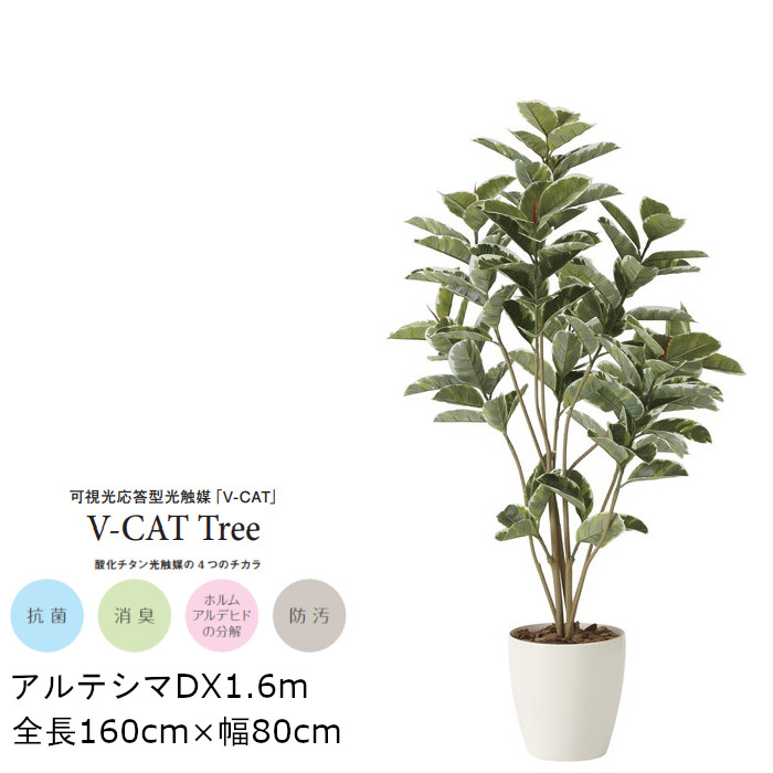 85%OFF!】 観葉植物 光触媒 アルテシマDX GLPA-041 160cm 人工観葉植物