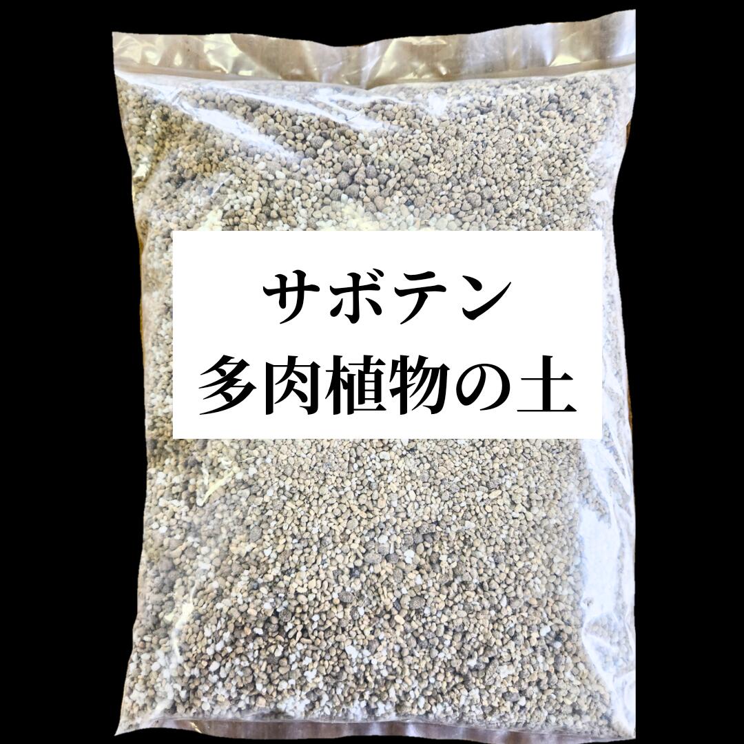 【甲子園の土】4kg 雑貨 | rootal