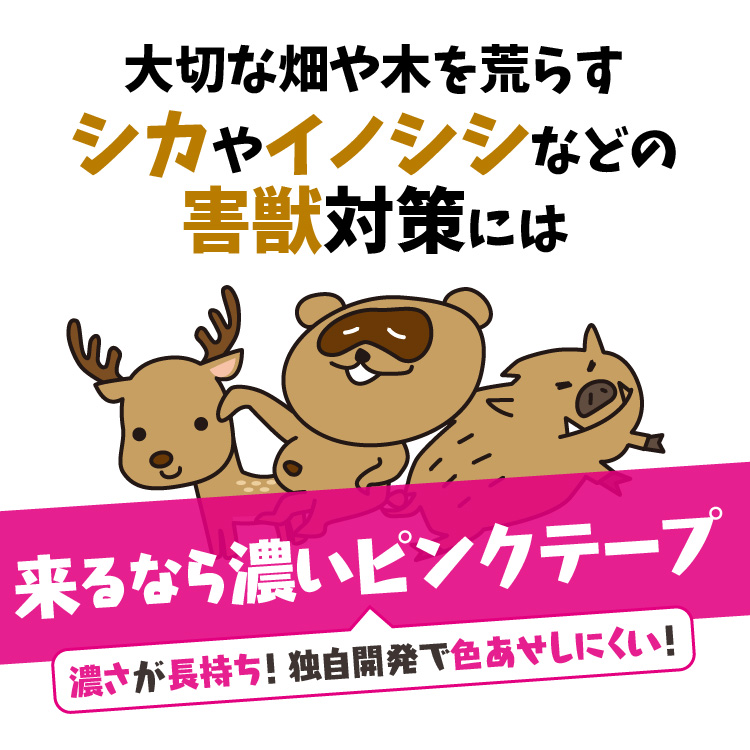 楽天市場 送料無料 耐候性識別テープ 来るなら濃いピンクテープ 50ミリ 0m イノシシ 鹿 対策 テープ 識別テープ ピンクテープ 測定用品 測量用品 害獣 蛍光ピンク 農林水産業 目印用テープ イノシシ 鹿 ピンク 新潟 兵庫 広島 長野 トイレのシール屋さん